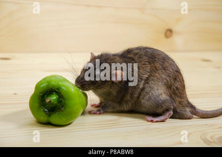 Un rat et le poivron sur une table en bois. Banque D'Images