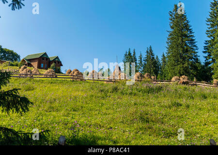 Un grand nombre de piles avec de l'herbe tondue près de l'élégante villa en bois . Pour votre conception Banque D'Images