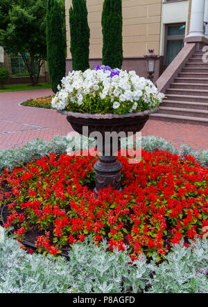 Un parterre rond avec des fleurs rouges sur lequel se dresse un grand brun, vase avec fleurs blanches . Pour votre conception Banque D'Images