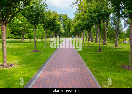 Une allée magnifique dans le parc est pavée de carreaux avec une pelouse verte sur les côtés et les jeunes arbres plantés en lignes élancées. . Pour votre conception Banque D'Images