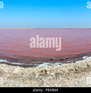 Syvash extrêmement salé Rose Lake, colorés par des microalgues avec dépôts de sel cristallin. Aussi connu sous le nom de mer putride ou pourris mer. L'Ukraine, Kherso Banque D'Images