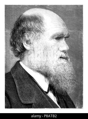 Darwin, Charles (1809-1882), naturaliste britannique, Banque D'Images