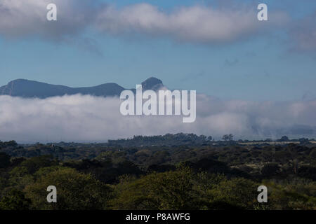 Vue de Ghost Mountain dans la province du KwaZulu Natal Afrique du Sud avec brume matinale se trouvant sur le Zimanga Private Game Reserve Banque D'Images