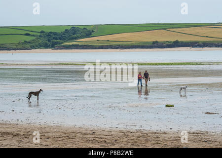 Les promeneurs de chiens sur une plage Banque D'Images