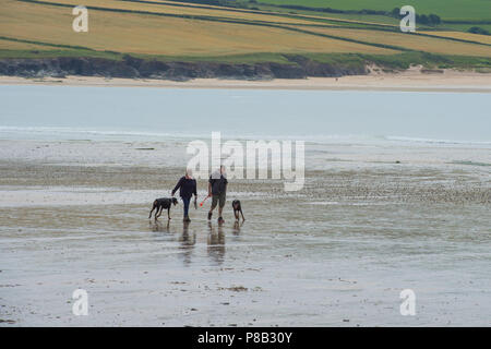 Les promeneurs de chiens sur une plage Banque D'Images