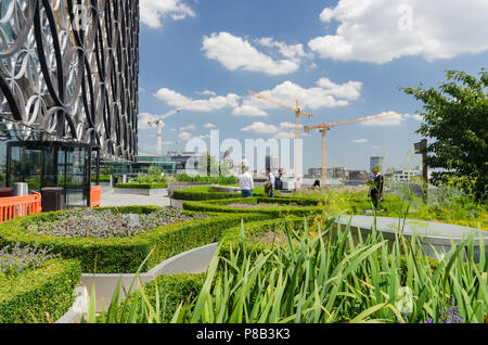 Le jardin sur le toit à la Bibliothèque de Birmingham Banque D'Images