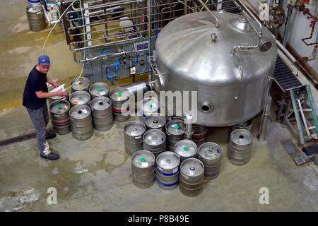 Homme travaillant dans cyder cidrerie, Healeys Cornish Cyder Farm,Penhallow, Truro, Cornwall, Angleterre, Royaume-Uni Banque D'Images