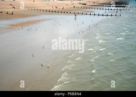 Bognor Regis, Sussex. Mouettes sur la plage à marée basse. Banque D'Images