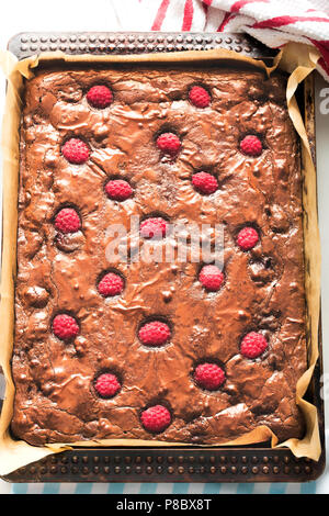 Brownies au chocolat avec des framboises Banque D'Images