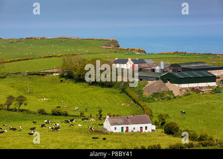 Royaume-uni, Irlande du Nord, Co Antrim, Islandmagee, Gobbins Road, le pâturage à côté de Burnside Cottage utilisé comme maison de vacances depuis le début des années 1900 Banque D'Images