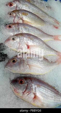 Belle photo de Ornate threadfin bream (Nemipterus hexodon) dans marché thaïlandais Banque D'Images