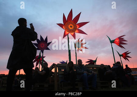 Berlin, Allemagne, femme prend une photo de fleurs artificielles dans la soirée à Berlin 18/12/06 2017 à l'hippodrome de Hoppegarten Banque D'Images