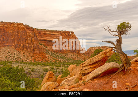 Les nuages de tempête venant en plus de la Mesa dans le Colorado National Monument au Colorado Banque D'Images