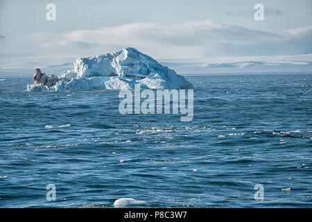 Iceberg devant la calotte glaciaire arctique Austfonna, Svalbard, Norvège.Eisberge vor Austfonna. Banque D'Images