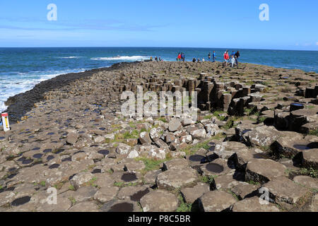 Le Giant's Causeway est une zone d'environ 40 000 colonnes de basalte d'enclenchement, le résultat d'une ancienne fissure volcanique éruption. Il est situé dans des pays Banque D'Images