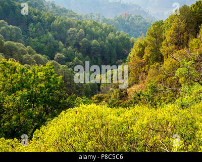 À l'ouest de la vallée village de Kot Tulla Tallas des repas, où Jim Corbett tourné l'Tallas Des maneater en avril 1929, les collines du Kumaon, Uttarakhand, Inde Banque D'Images