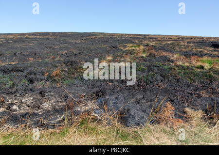 Sally Gap, Wicklow, Irlande. 10 Juillet 2018 : dommages dévastateurs fait par les récents incendies à l'ajonc Sally Gap dans les montagnes de Wicklow. Feu couvant encore visible dans certaines parties avec de la fumée au cours de la dérive bogland. Crédit : Michael Grubka/Alamy Live News Banque D'Images