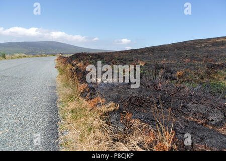 Sally Gap, Wicklow, Irlande. 10 Juillet 2018 : dommages dévastateurs fait par les récents incendies à l'ajonc Sally Gap dans les montagnes de Wicklow. Feu couvant encore visible dans certaines parties avec de la fumée au cours de la dérive bogland. Crédit : Michael Grubka/Alamy Live News Banque D'Images