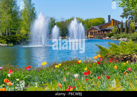 De belles couleurs différentes de tulipes qui croissent sur la rive d'un petit étang à l'eau claire dans le contexte de grands belles fontaines en mouvement Banque D'Images