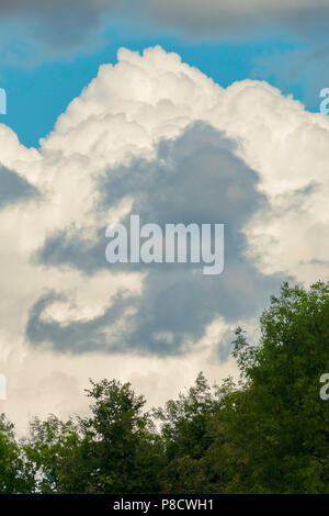 Le nuage dense blanc dans le ciel dans l'ombre presque tout le ciel. Si bas qu'il semble suspendu comme si elle repose sur le sommet de l'arbre debout sous Banque D'Images