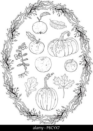 La récolte d'automne jeu clipart : couronne ovale frame branches, citrouilles, pommes, airelle rouge, chêne, érable feuilles qui tombent. Décoration saisonnière de l'automne, la coloration p Illustration de Vecteur