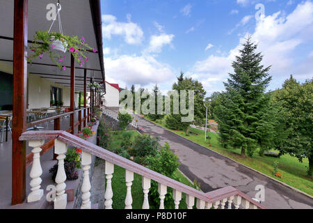Vue de la terrasse au vert très beau parc avec arbres de cône . Pour votre conception Banque D'Images