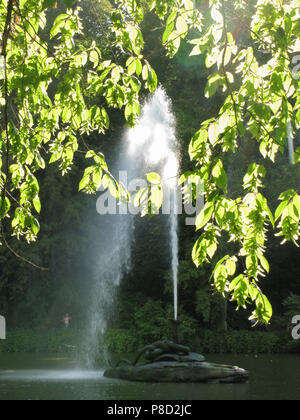 La haute fontaine en forme d'un serpent au milieu de la rivière . Pour votre conception Banque D'Images