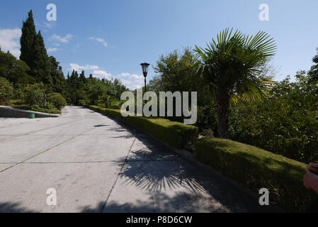 Magnifiquement parées buissons verts à proximité de la promenade . Pour votre conception Banque D'Images