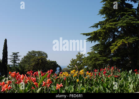 Jaune, rouge et rose sur le parterre de fleurs. Toutes les couleurs chaudes se sont réunis dans un parterre de fleurs. Comme langues de flammes . Pour votre conception Banque D'Images