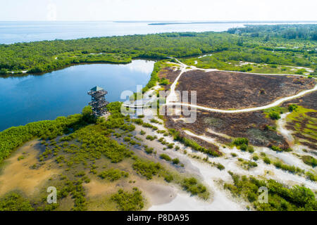 Robinson Préserver Bradenton, une mosaïque de 487 hectares de vasières, marais à mangroves, plages et tour d'observation ainsi que de nombreux sentiers de randonnée pédestre et de vélo Banque D'Images