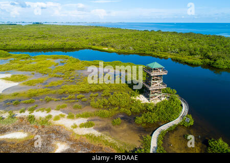 Robinson Préserver Bradenton, une mosaïque de 487 hectares de vasières, marais à mangroves, plages et tour d'observation ainsi que de nombreux sentiers de randonnée pédestre et de vélo Banque D'Images