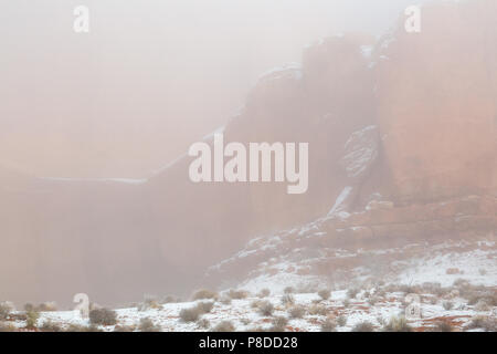 Un épais brouillard couvrant les buttes de grès près de l'avenue Park Trail après une récente chute de neige. Arches National Park, Utah Banque D'Images