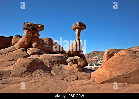 - L'UTAH où Toadstools où rochers durcir rouler sur des falaises au-dessus et protéger les grès plus doux en dessous de l'érosion. Banque D'Images