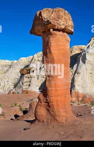 - L'UTAH où Toadstools harden rochers rouler le long des falaises au-dessus et protéger les grès plus doux en dessous de l'érosion. Banque D'Images