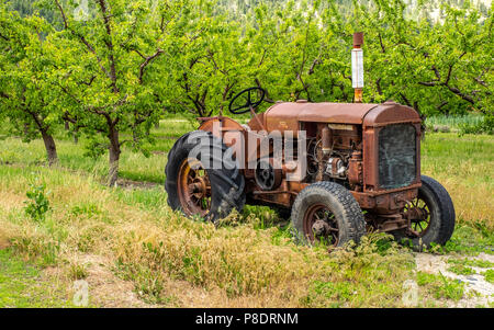 Un vieux tracteur rouillé se trouve dans un verger de la vallée de l'Okanagan, en Colombie-Britannique. Banque D'Images