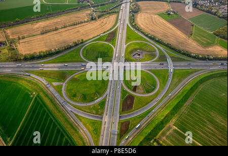 Vue aérienne, Kamener Kreuz en trèfle, l'autoroute A1 et l'autoroute A2, Kamen, Ruhr, Rhénanie du Nord-Westphalie Banque D'Images