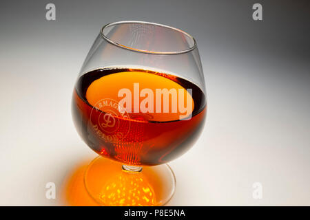 Verre d'armagnac. Armagnac Delord, Gers, Midi-Pyrénées, France Europe Banque D'Images