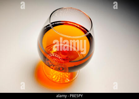 Verre d'armagnac. Armagnac Delord, Gers, Midi-Pyrénées, France Europe Banque D'Images