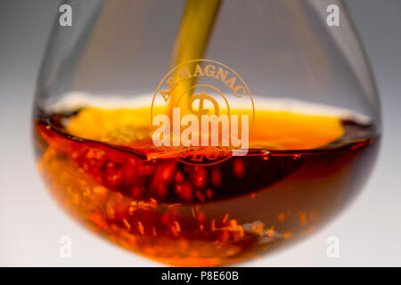 Verre d'armagnac. Armagnac Delord, Gers, Midi-Pyrénées, France Europe Banque D'Images