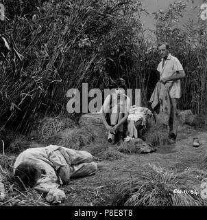 Canons de l'obscurité (1962) David Niven, Leslie Caron, David Opatoshu, Date : 1962 Banque D'Images