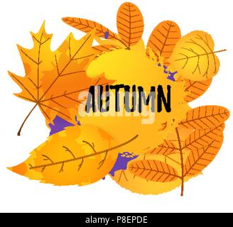 Automne arrière-plan modèle orange avec du jaune et orange feuilles isolées sur fond blanc Illustration de Vecteur