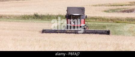 Morko, Suède - 10 juillet 2018 : Rouge à la moissonneuse-batteuse Massey Ferguson 9380 récoltes Delta grain. Banque D'Images