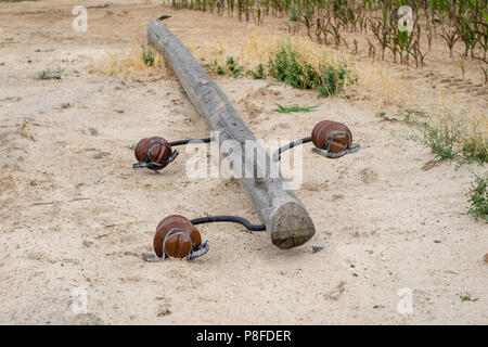 Un vieux poteau électrique en bois couché sur le sol. Réseau électrique cassée. Saison de l'été. Banque D'Images
