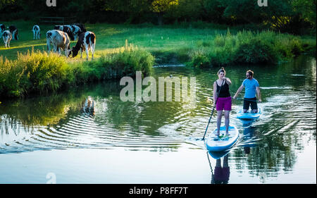 Paddle boarders sur la rivière Stour, Flatford à Suffolk. Banque D'Images