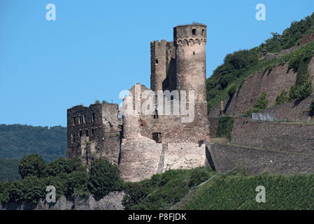 Ruines du château d'Ehrenfels près de Rüdesheim sur le Rhin en face de Bingen sur le Rhin, Hesse, Allemagne. Banque D'Images