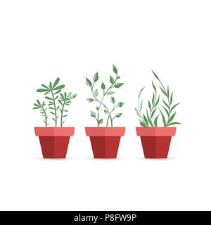 Vector illustration de plantes en pot, trois plantes de jardin décoration pot Illustration de Vecteur