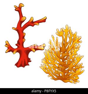 Ensemble de coraux rouges et orange isolé sur fond blanc. Vector illustration. Illustration de Vecteur