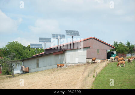 L'énergie photovoltaïque, schwaebisch hall, région Hohenlohe, Bade-Wurtemberg, Allemagne, Heilbronn-Franconia Banque D'Images