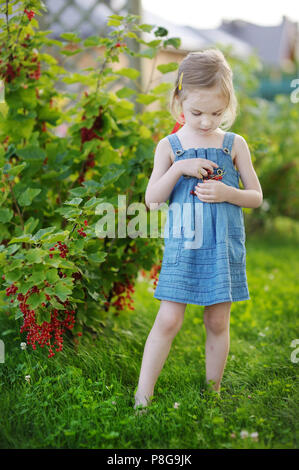 Adorable petite fille aux groseilles rouges dans un jardin Banque D'Images