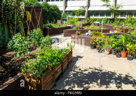 Une partie de la rue Melior jardin communautaire, une utilisation mixte, oasis' sur un ancien négligé du London Bridge, qui fournit maintenant des produits frais locaux Banque D'Images